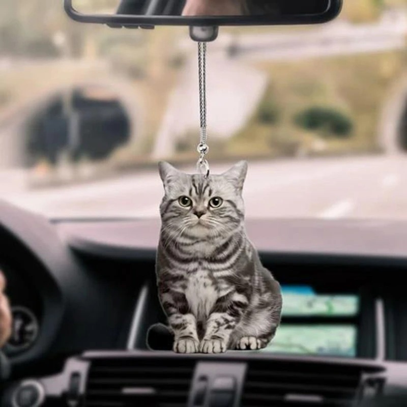 Mini Two-Sided Pendurado Carro - Car Accessories Mirror Hanging avaliação e preço