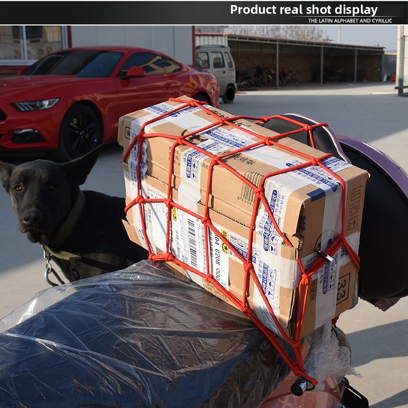 Rede de bagagem resistente – e - Car Cargo Net Trunk avaliação e preço